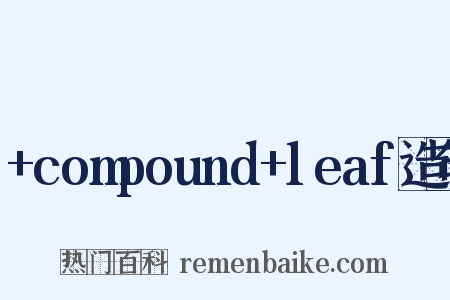 +compound+leaf造句是什么意思的图片